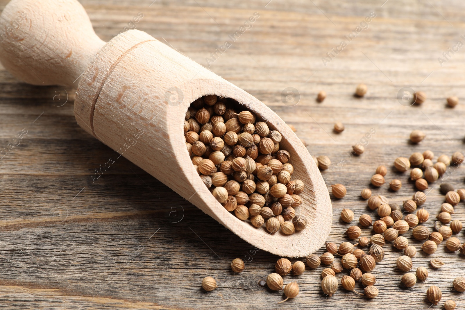 Photo of Scoop with dried coriander seeds on wooden table, closeup