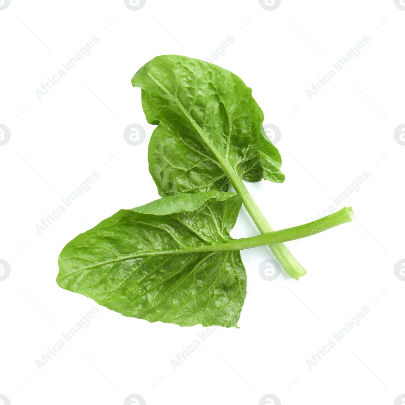 Photo of Fresh leaves of spinach isolated on white, top view