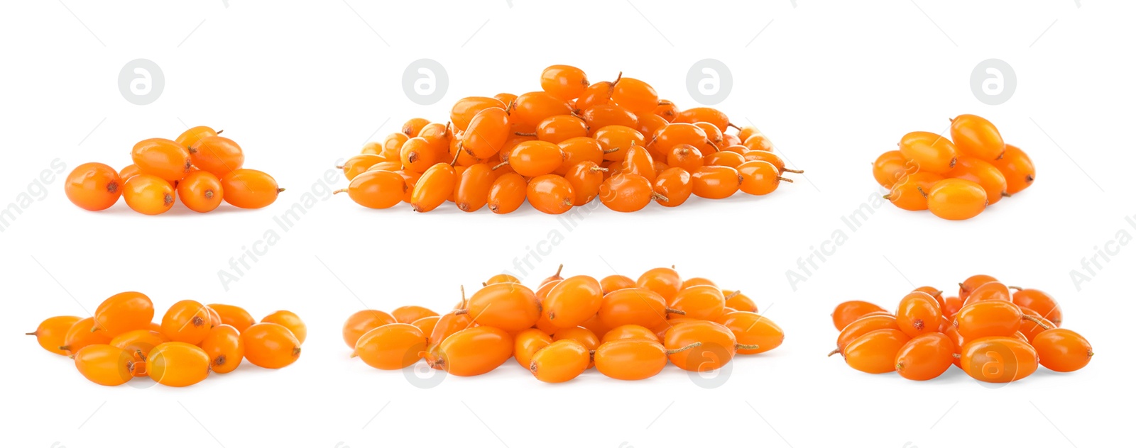 Image of Set with fresh ripe sea buckthorn berries on white background. Banner design