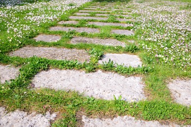 Path, fresh green grass and flowers outdoors