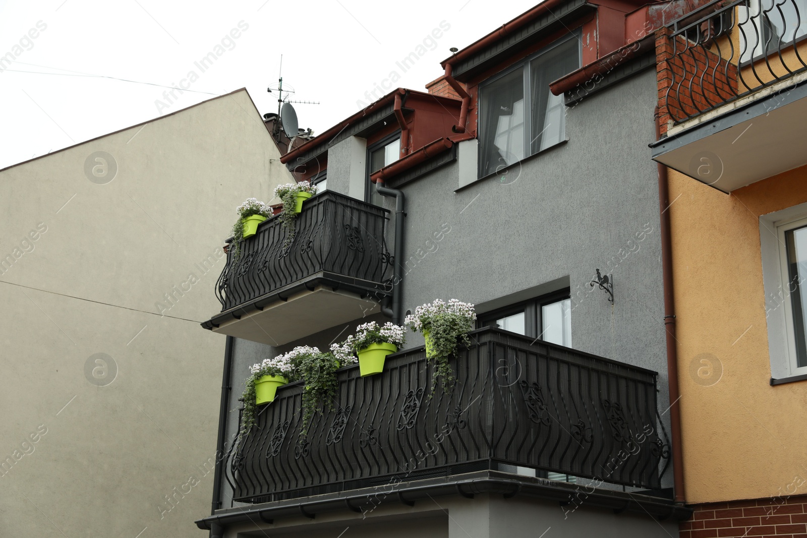 Photo of Stylish balconies decorated with beautiful potted flowers