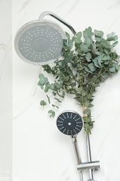 Photo of Branches with green eucalyptus leaves in shower, low angle view