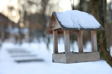 Photo of Wooden birdhouse hanging in park, space for text
