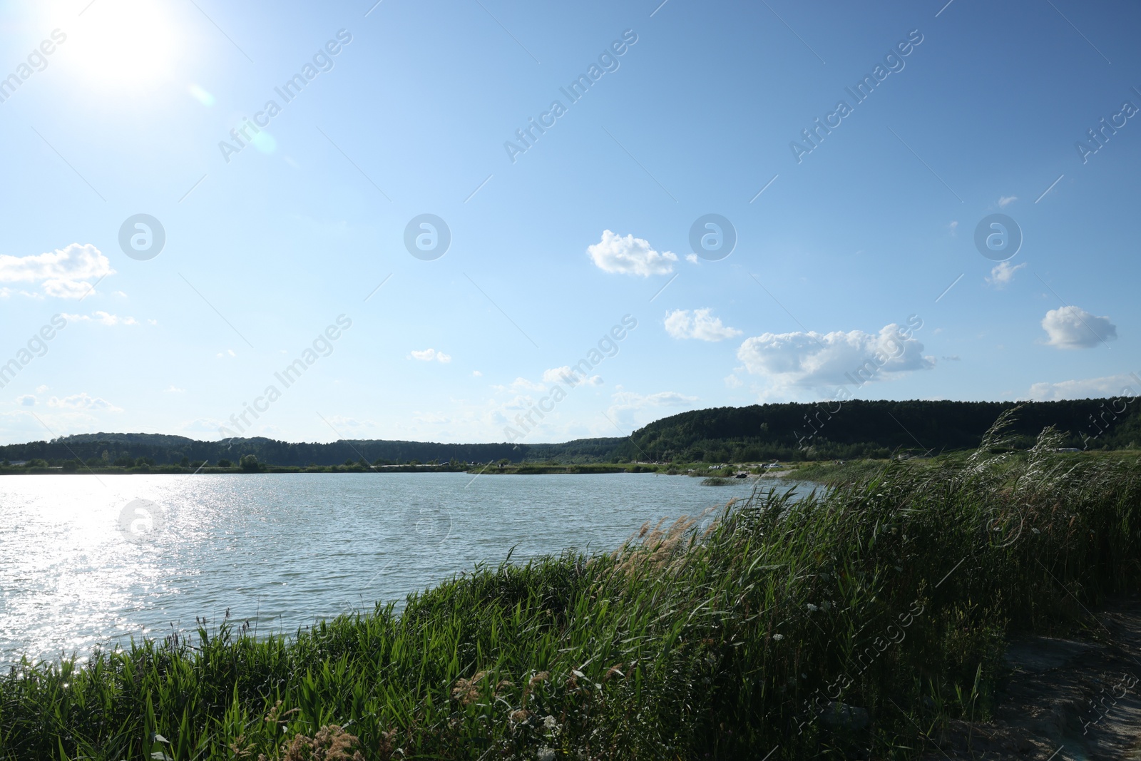 Photo of Beautiful view of river and reeds outdoors on sunny day