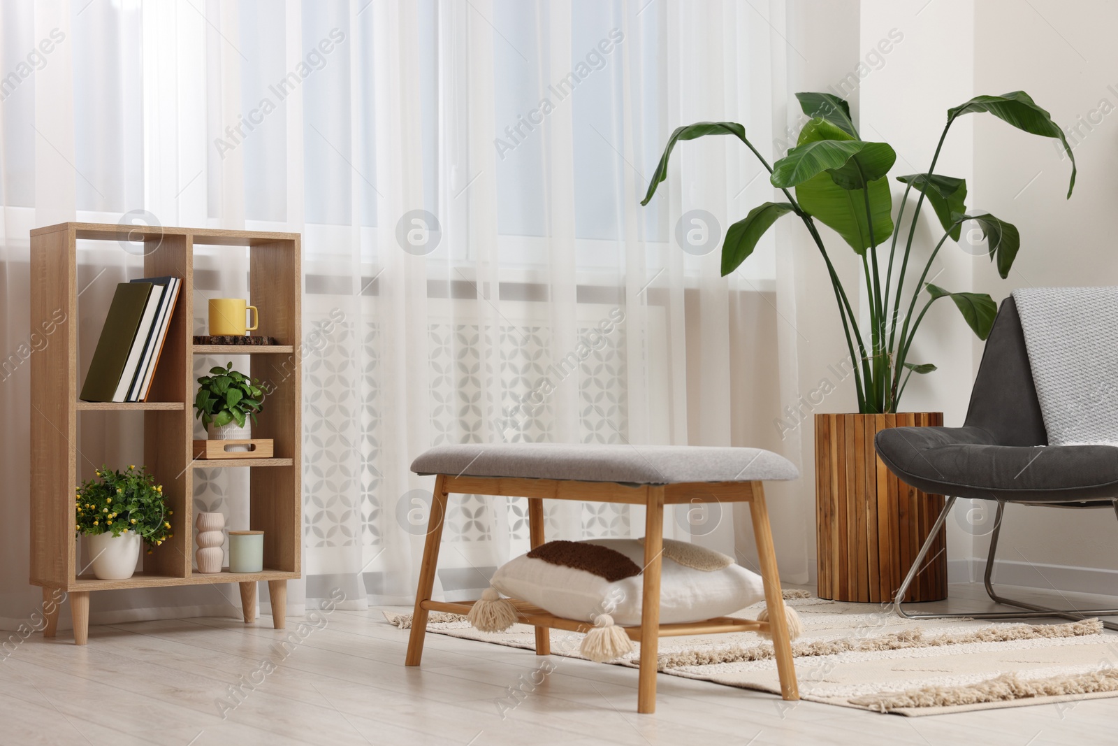 Photo of Spring atmosphere. Stylish room interior with comfortable chair, houseplant and shelving unit