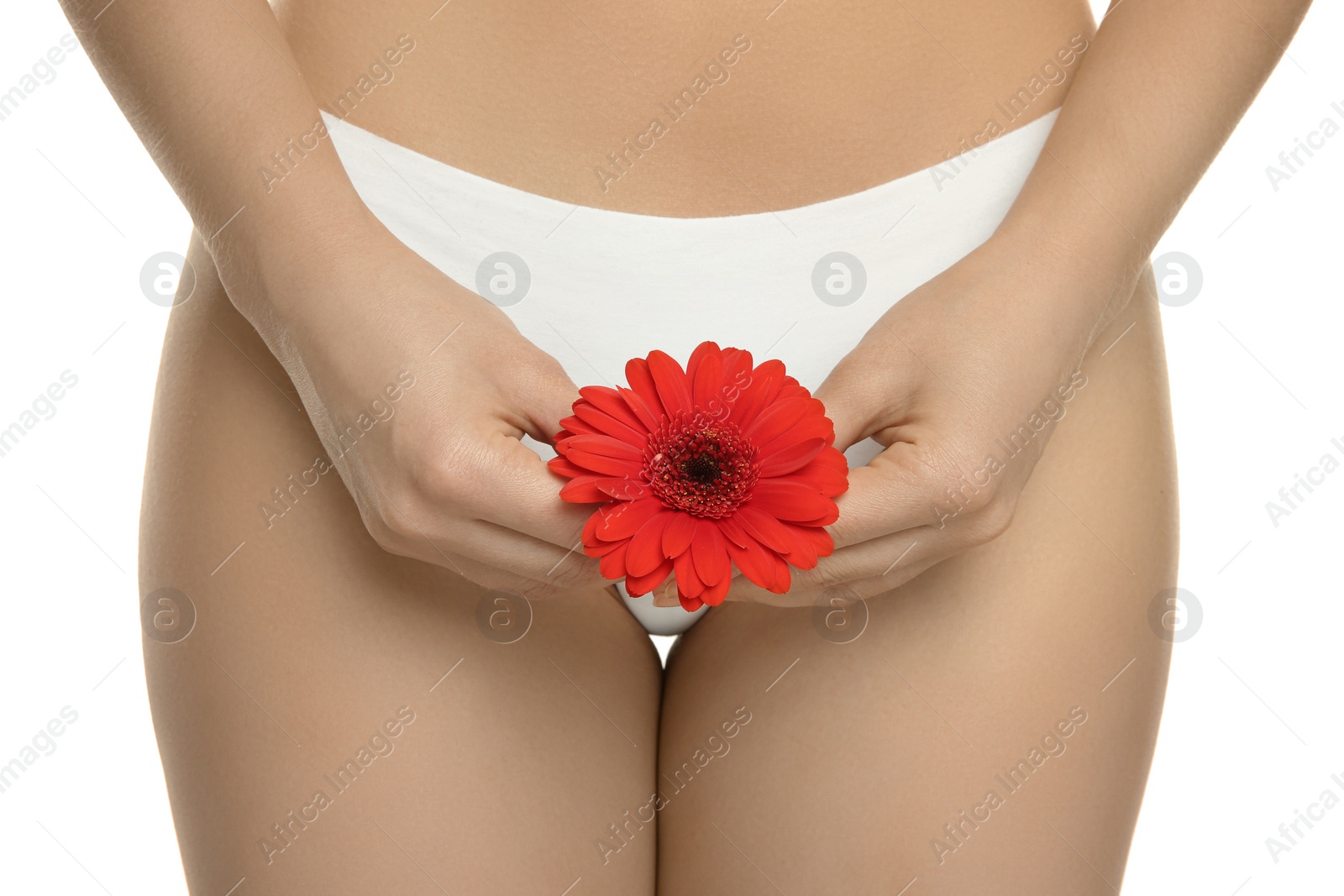 Photo of Gynecology. Woman in underwear with gerbera flower on white background, closeup