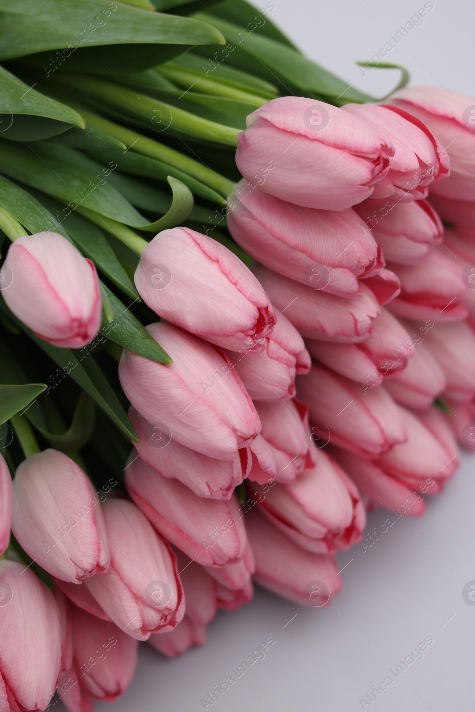 Photo of Bouquet of beautiful pink tulips on light grey background, above view
