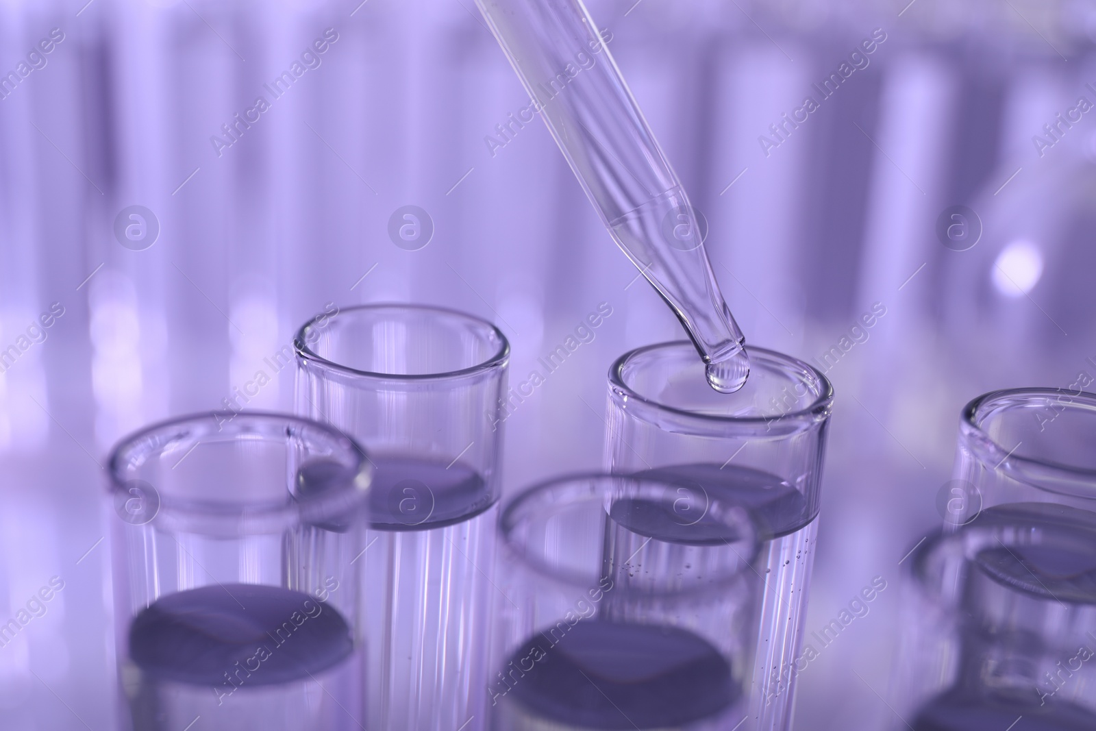 Photo of Dripping liquid from pipette into test tube on violet background, closeup