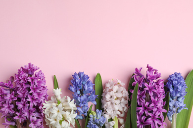 Photo of Beautiful spring hyacinth flowers on pink background, flat lay. Space for text