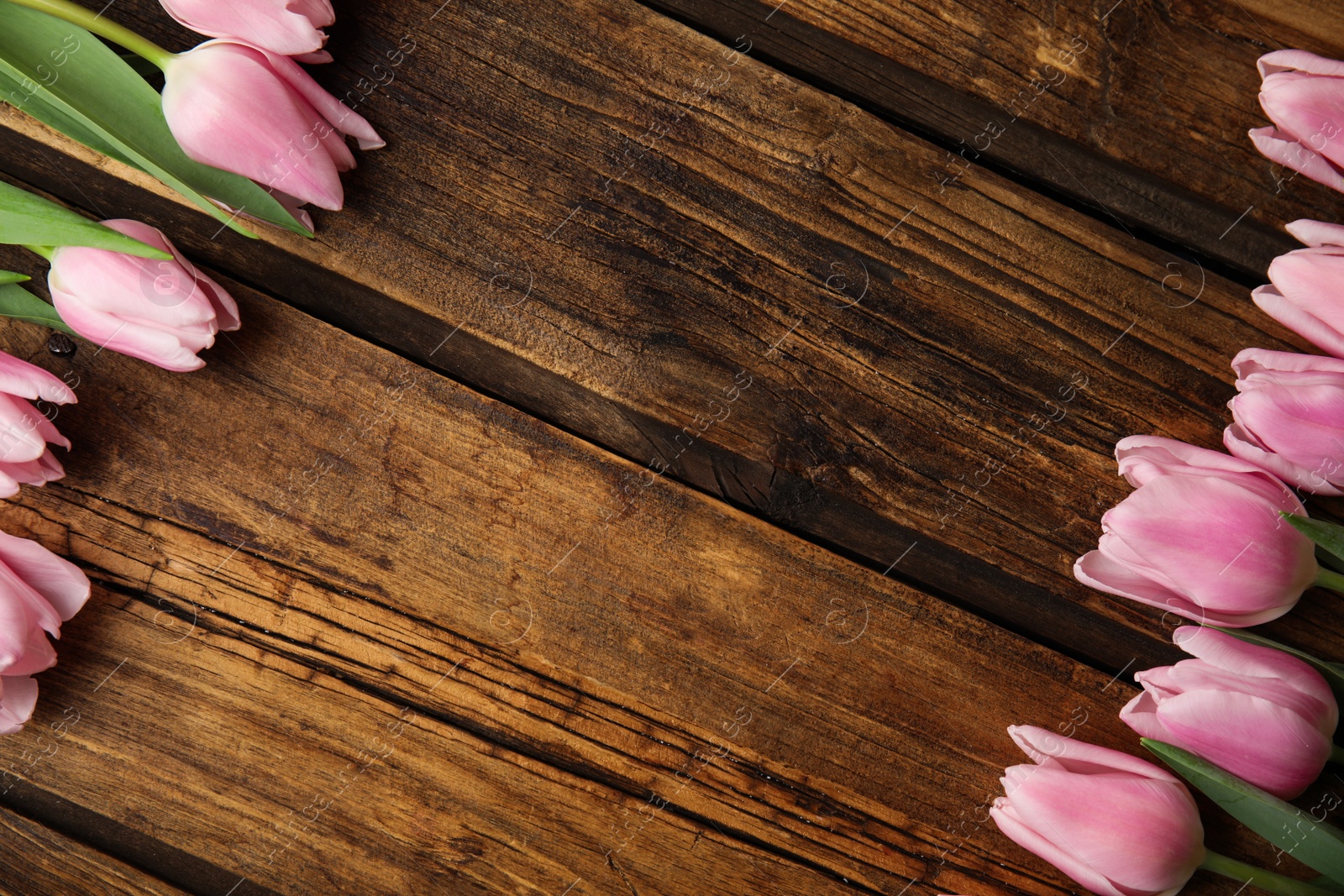 Photo of Beautiful pink spring tulips on wooden background, flat lay. Space for text