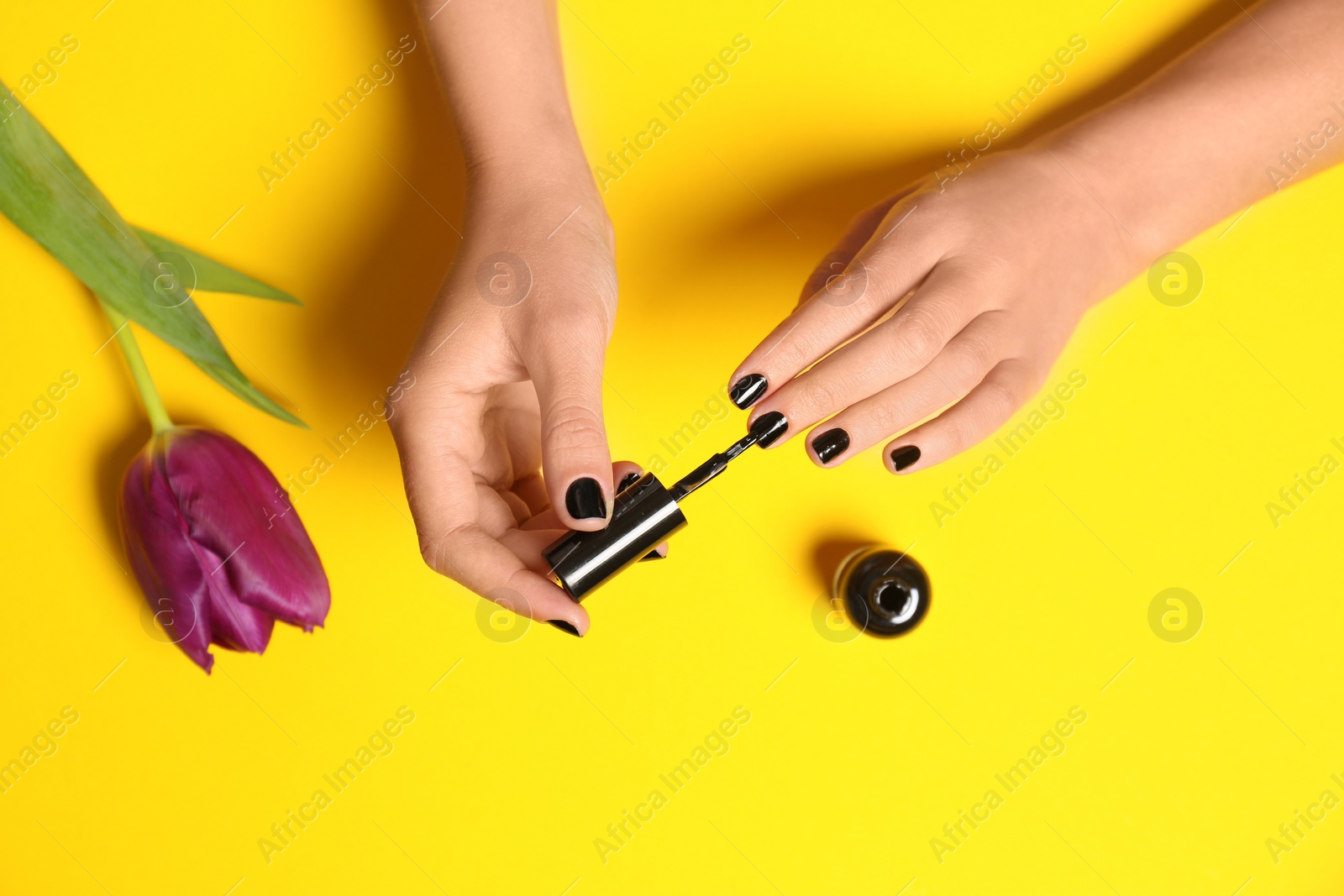 Photo of Woman applying nail polish at flower on color background, closeup