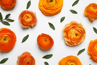Image of Beautiful orange ranunculus flowers on white background, top view