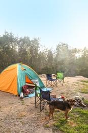 Photo of Cute dog near camping tent in wilderness