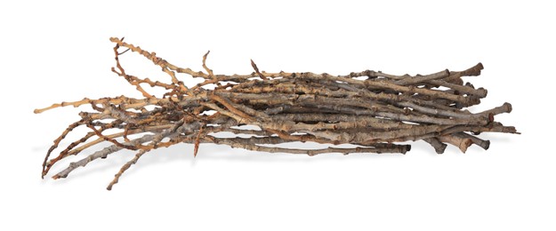 Photo of Old dry tree twigs isolated on white