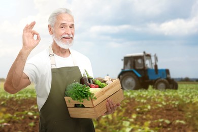 Image of Harvesting season. Farmer holding wooden crate with crop and showing ok gesture in field