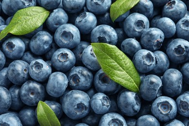 Photo of Tasty fresh blueberries with green leaves as background, top view