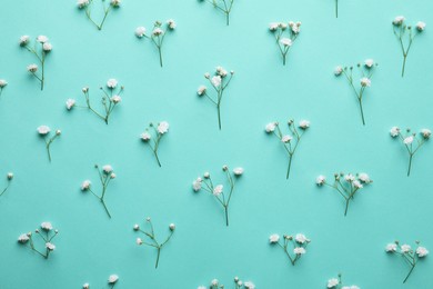 Photo of Beautiful gypsophila flowers on turquoise background, flat lay