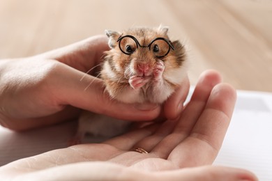 Photo of Owner holding cute little hamster with glasses, closeup