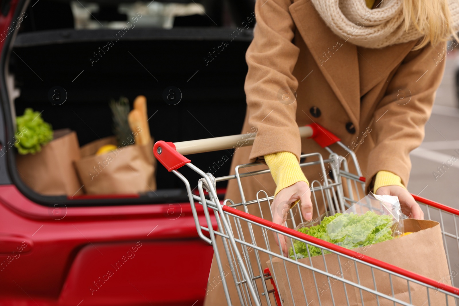 Photo of Young woman with shopping cart full of groceries near her car outdoors, closeup