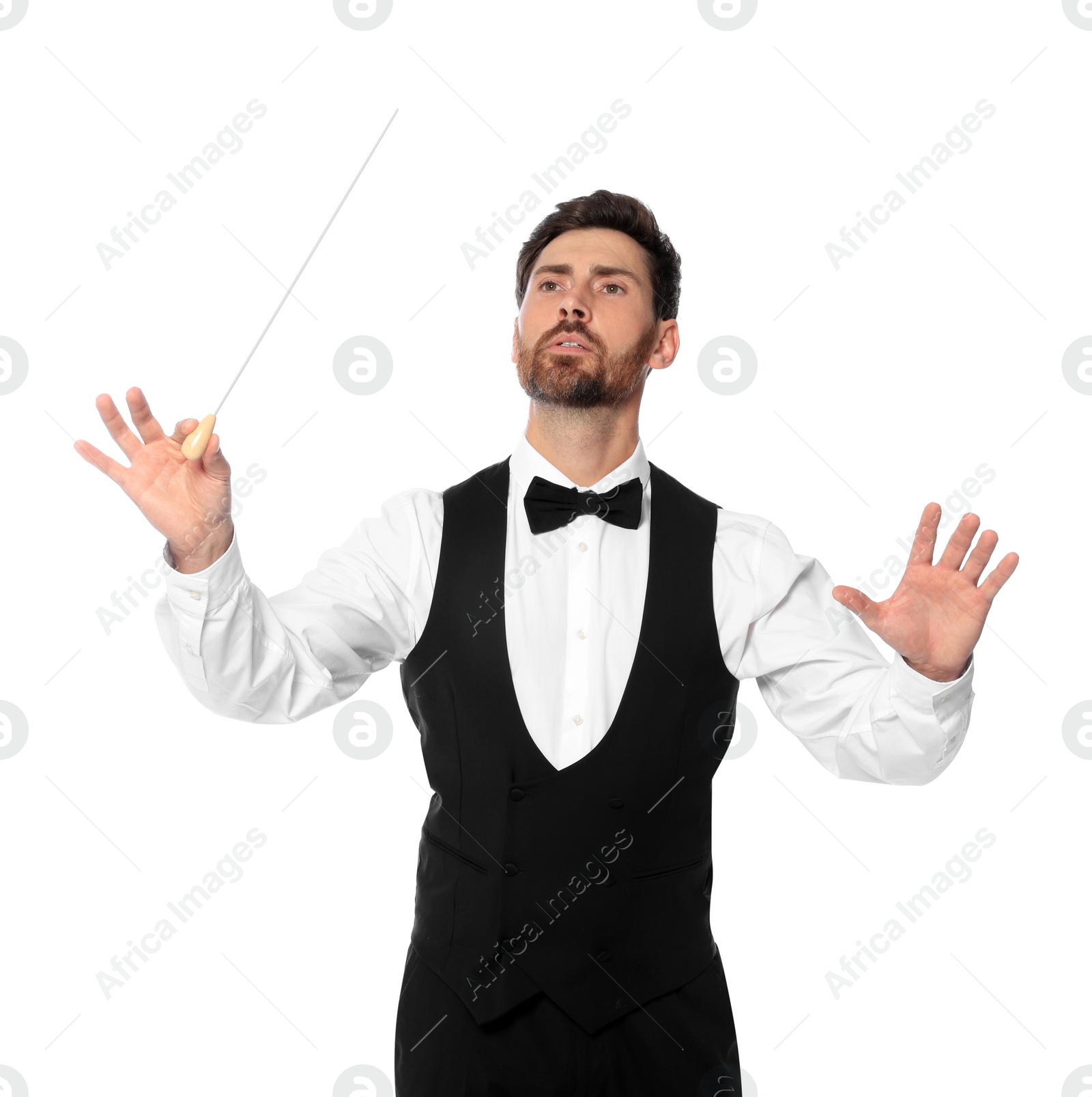 Photo of Professional conductor with baton on white background