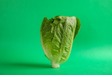 Photo of Fresh ripe cos lettuce on color background