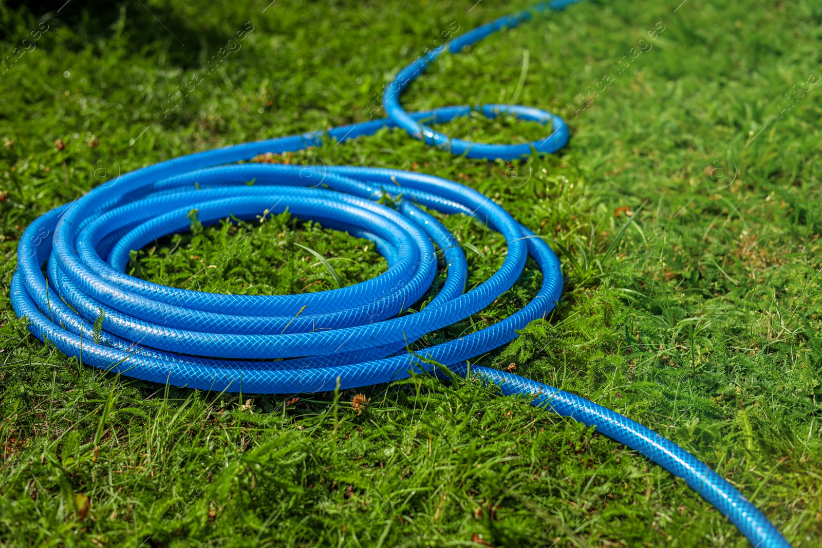 Photo of Blue watering hose on green grass outdoors
