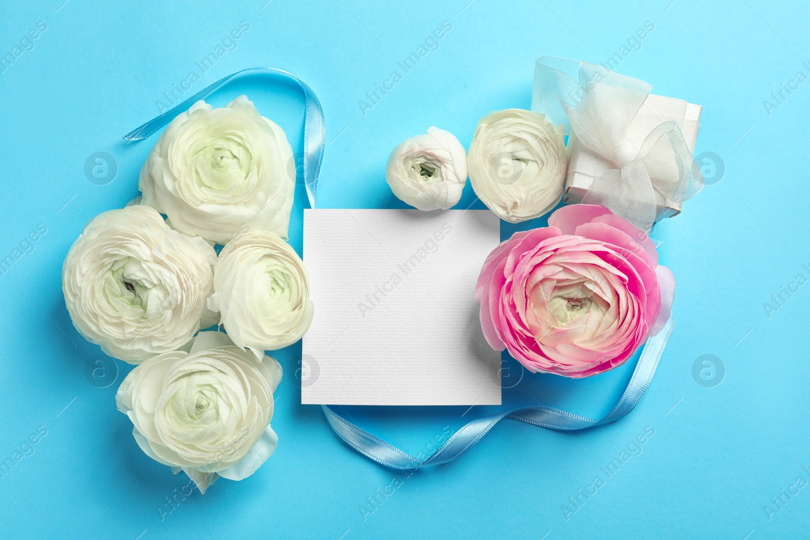 Photo of Beautiful ranunculus flowers with blank card and gift box on color background