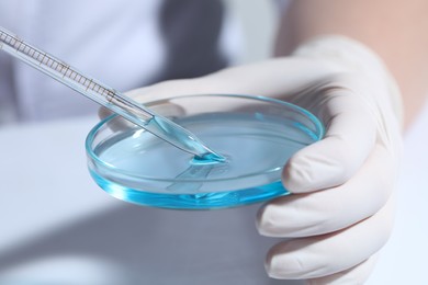 Photo of Scientist dripping liquid from pipette into petri dish at white table, closeup
