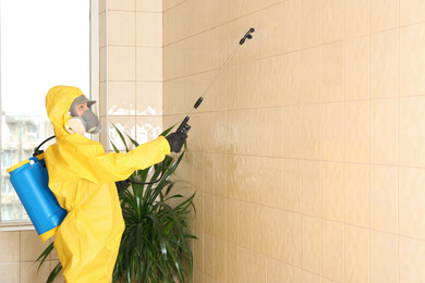 Photo of Pest control worker spraying pesticide on wall indoors. Space for text