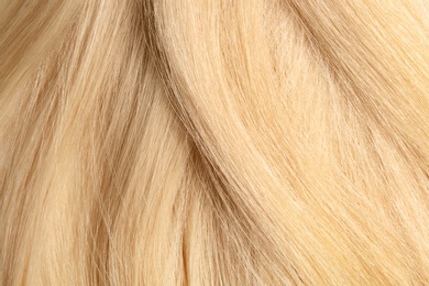 Photo of Texture of healthy blond hair as background, closeup