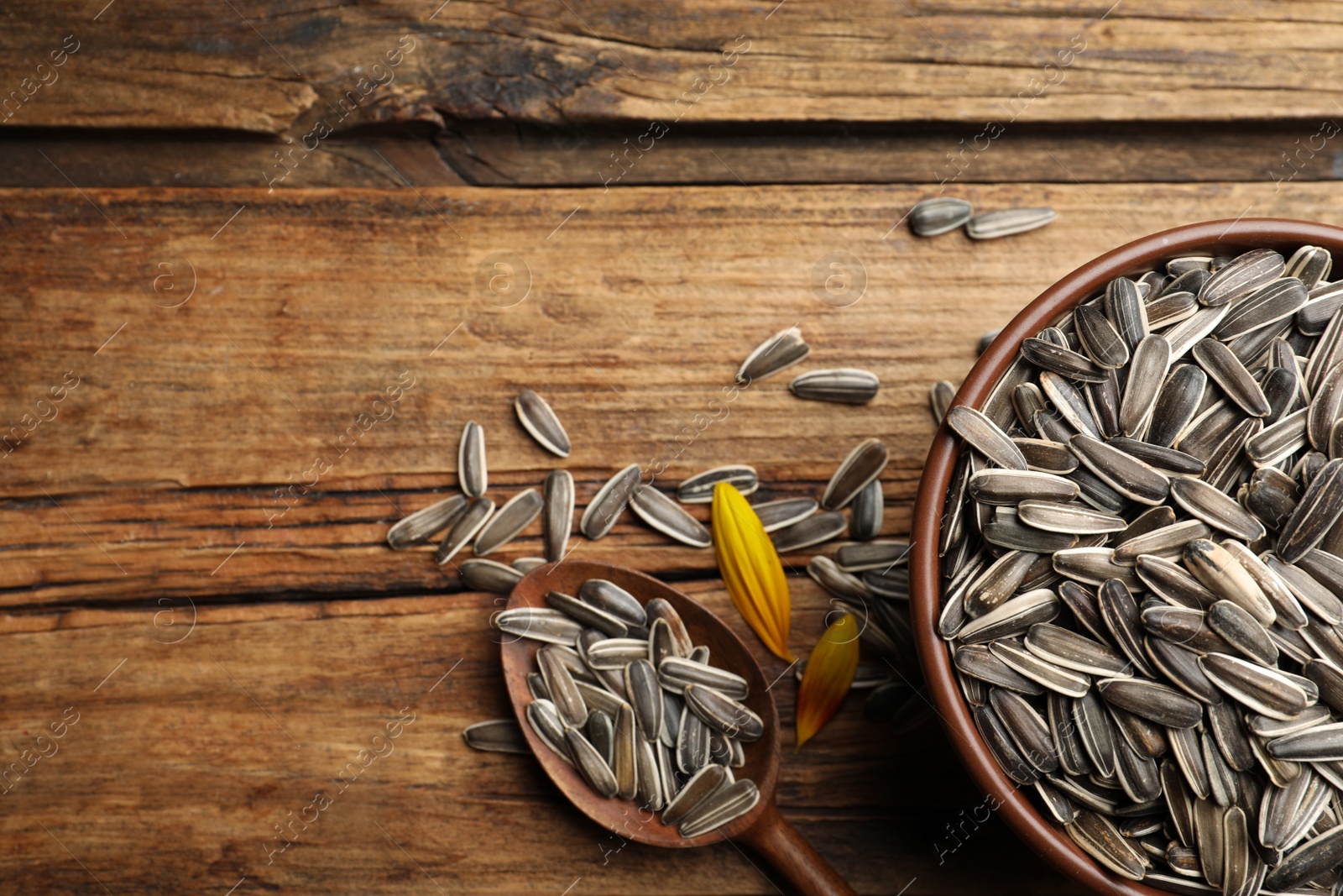 Photo of Raw sunflower seeds on wooden table, flat lay. Space for text