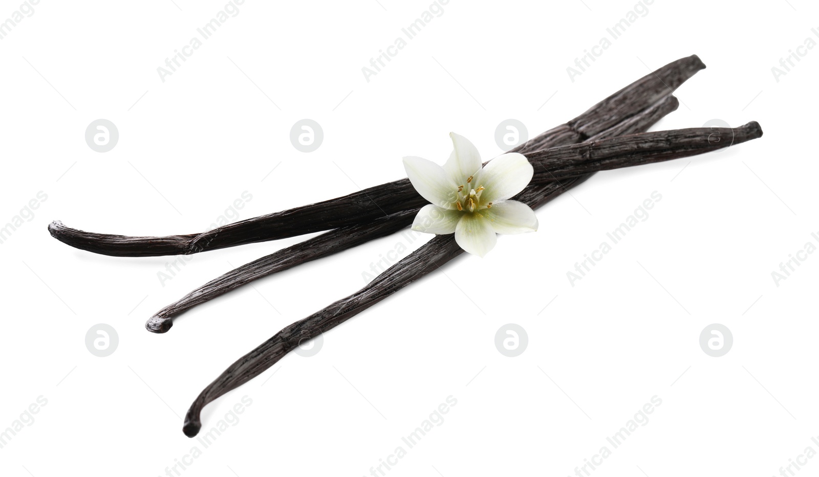 Photo of Vanilla pods and flower isolated on white