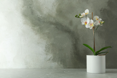 Photo of Artificial orchid plant in flower pot on light grey marble table. Space for text