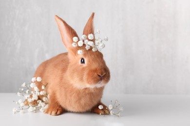 Adorable bunny with gypsophila flowers on white table against light background. Space for text