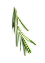 Photo of Fresh rosemary on white background