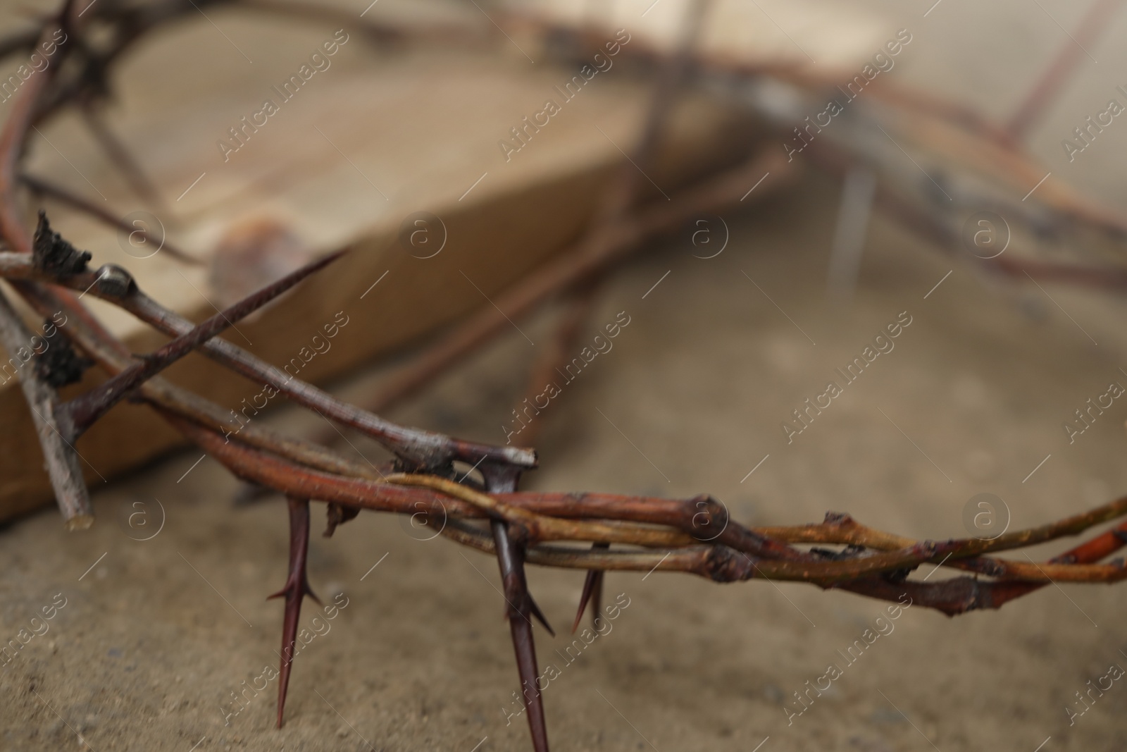 Photo of Crown of thorns on ground, closeup. Easter attribute