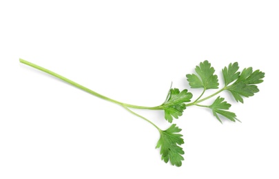 Leaves of fresh tasty parsley on white background, top view