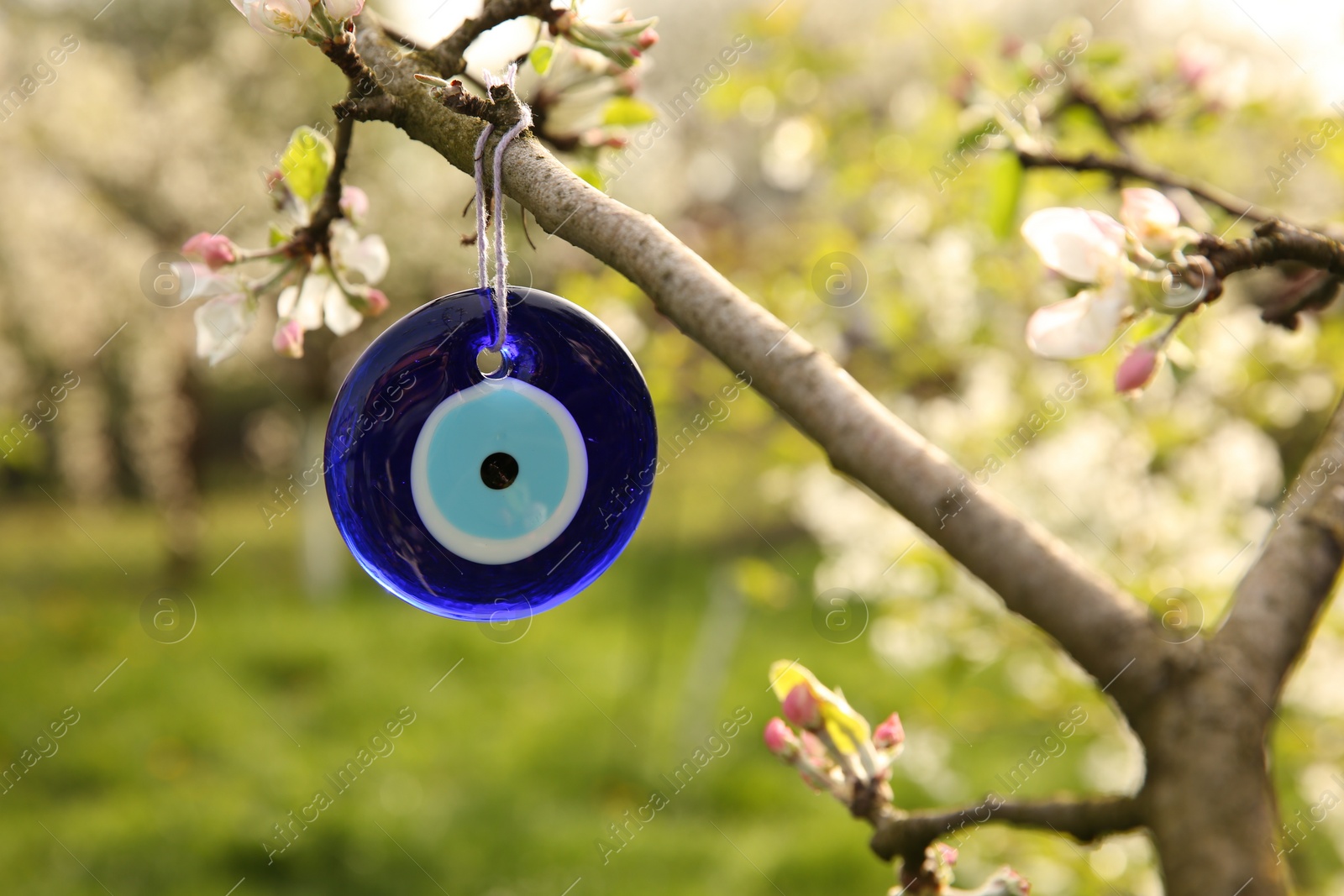 Photo of Evil eye amulet hanging on blossoming spring tree outdoors, closeup