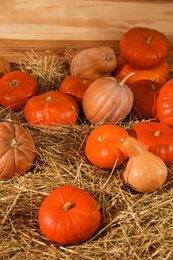 Photo of Ripe orange pumpkins on dry hay in barn