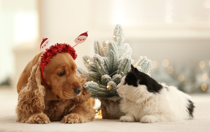 Photo of Adorable Cocker Spaniel dog in Santa headband and cat near decorative Christmas tree