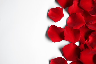 Beautiful red rose petals on white background, top view