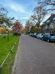 Photo of Many cars parked near houses along street