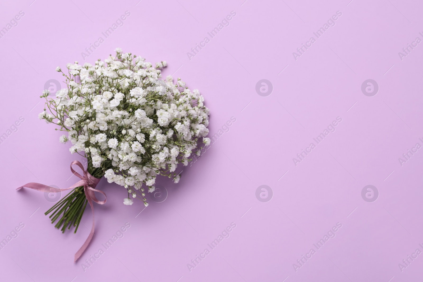 Photo of Bouquet of white gypsophila with ribbon on violet background, top view. Space for text