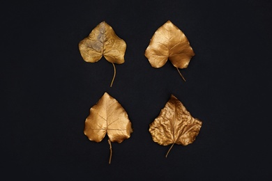 Photo of Painted gold autumn leaves on black background, flat lay