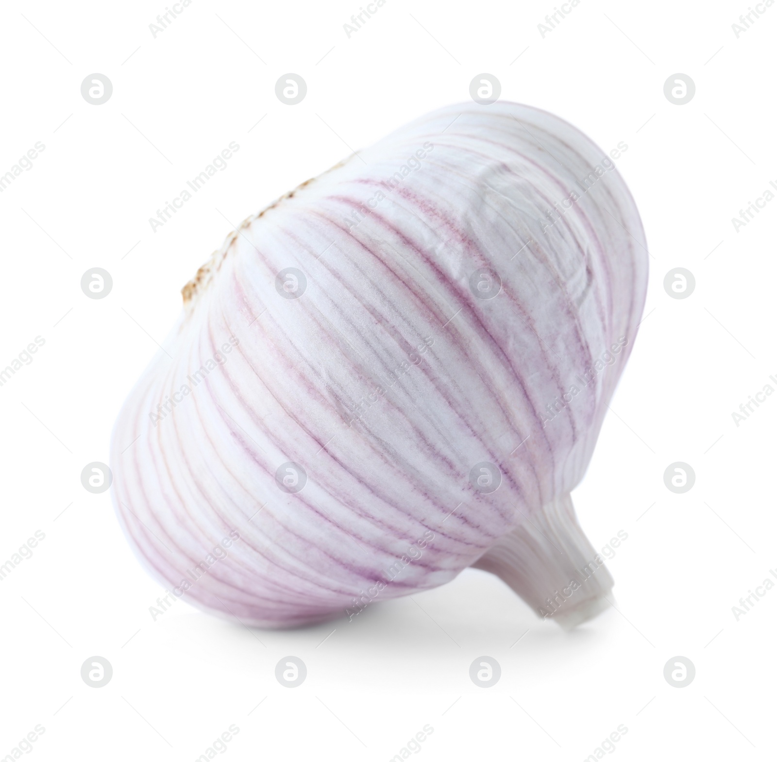 Photo of Fresh garlic on white background. Organic food