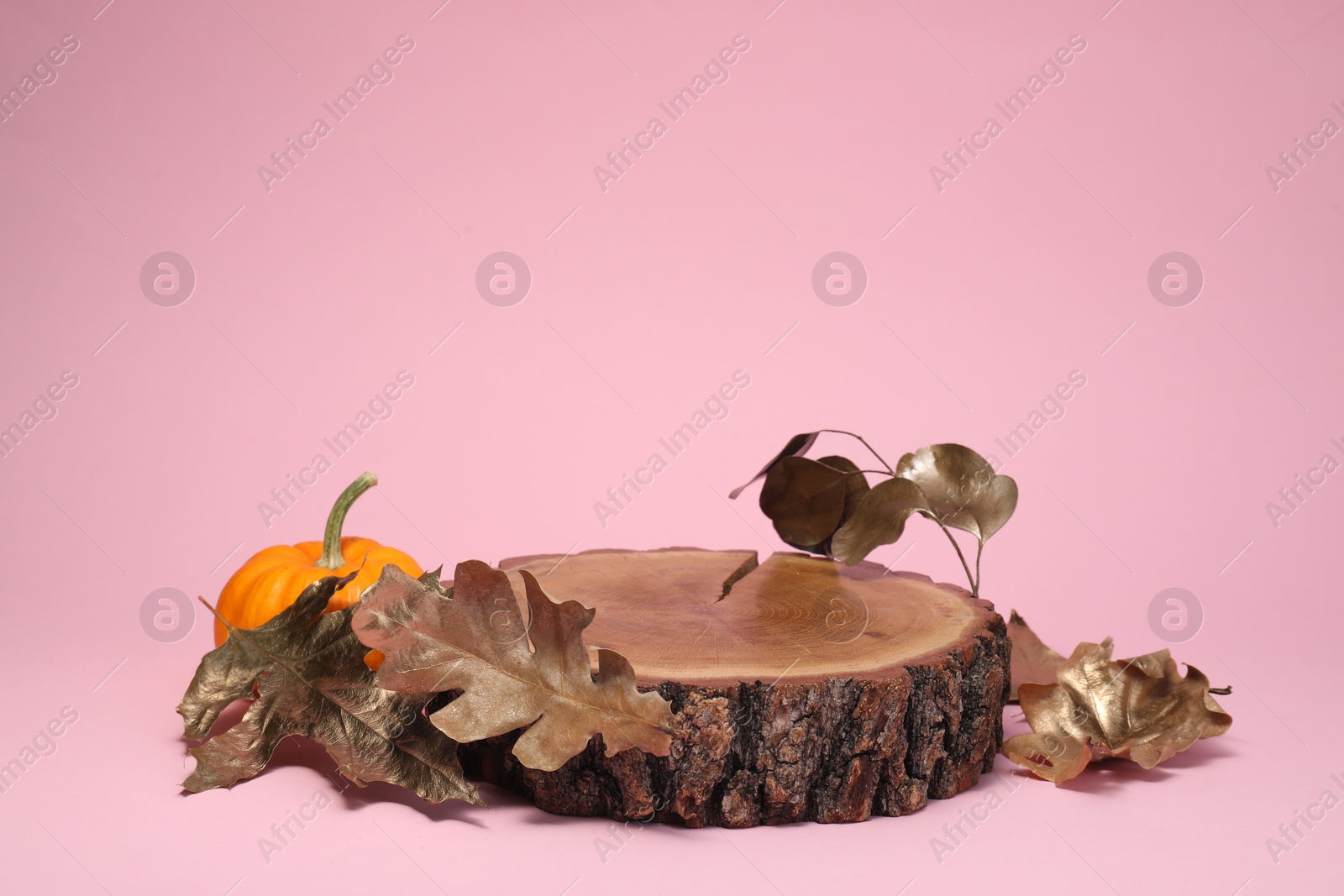 Photo of Autumn presentation for product. Wooden stump, pumpkin and golden leaves on pink background