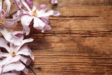 Photo of Magnolia tree branches with beautiful flowers on wooden table, flat lay. Space for text