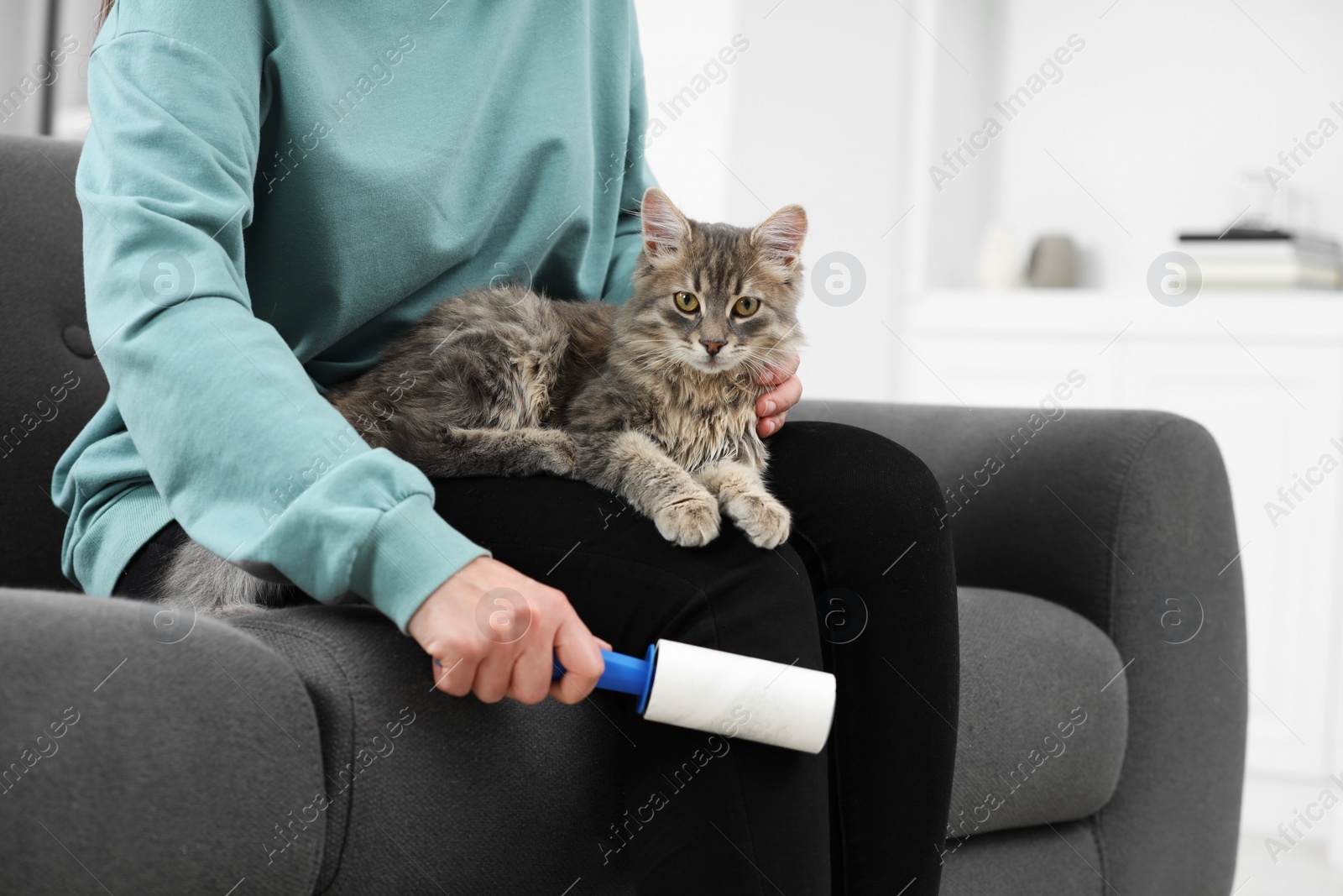 Photo of Pet shedding. Woman with lint roller removing cat`s hair from trousers on sofa at home, closeup