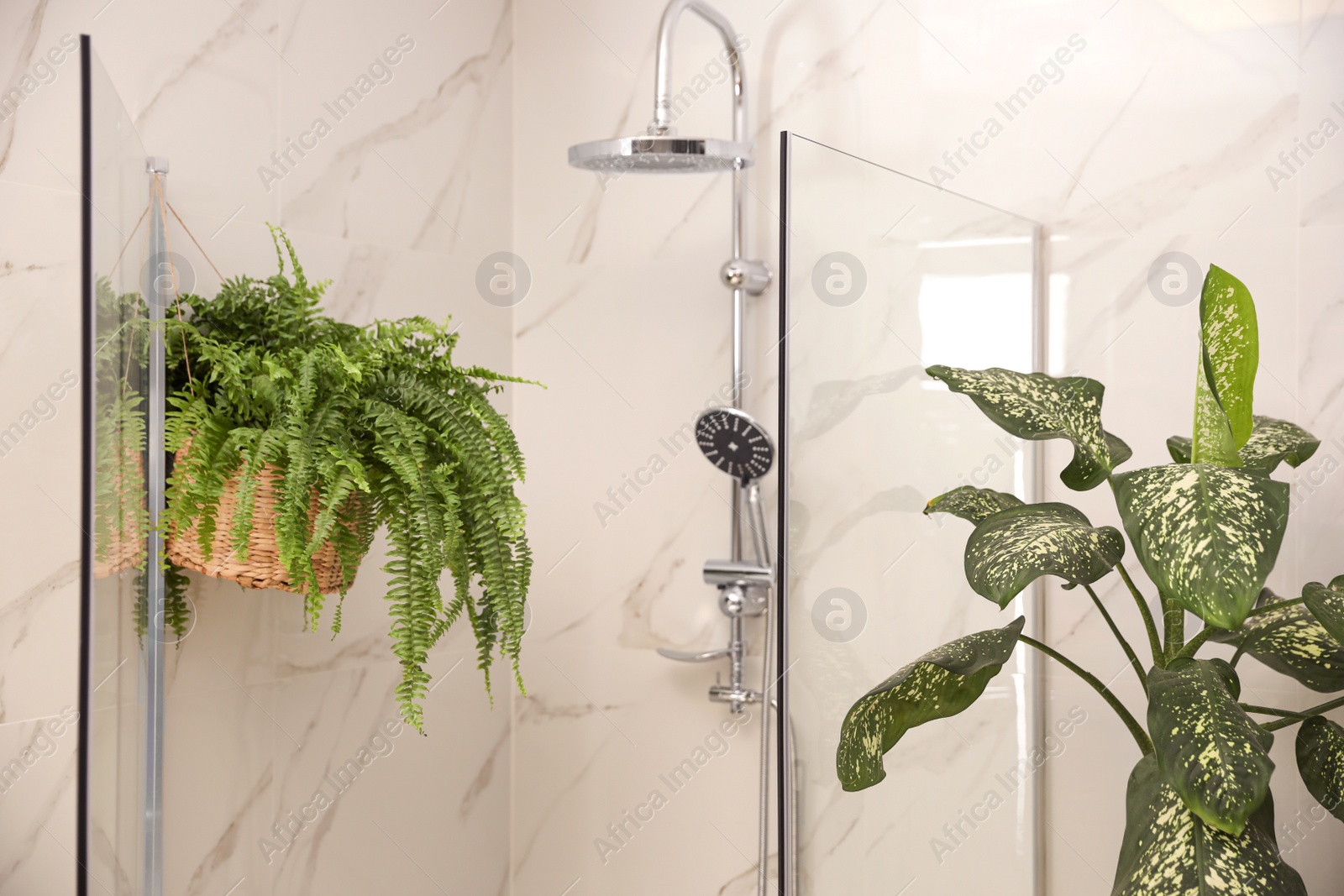 Photo of Beautiful green plants in elegant modern bathroom. Interior design