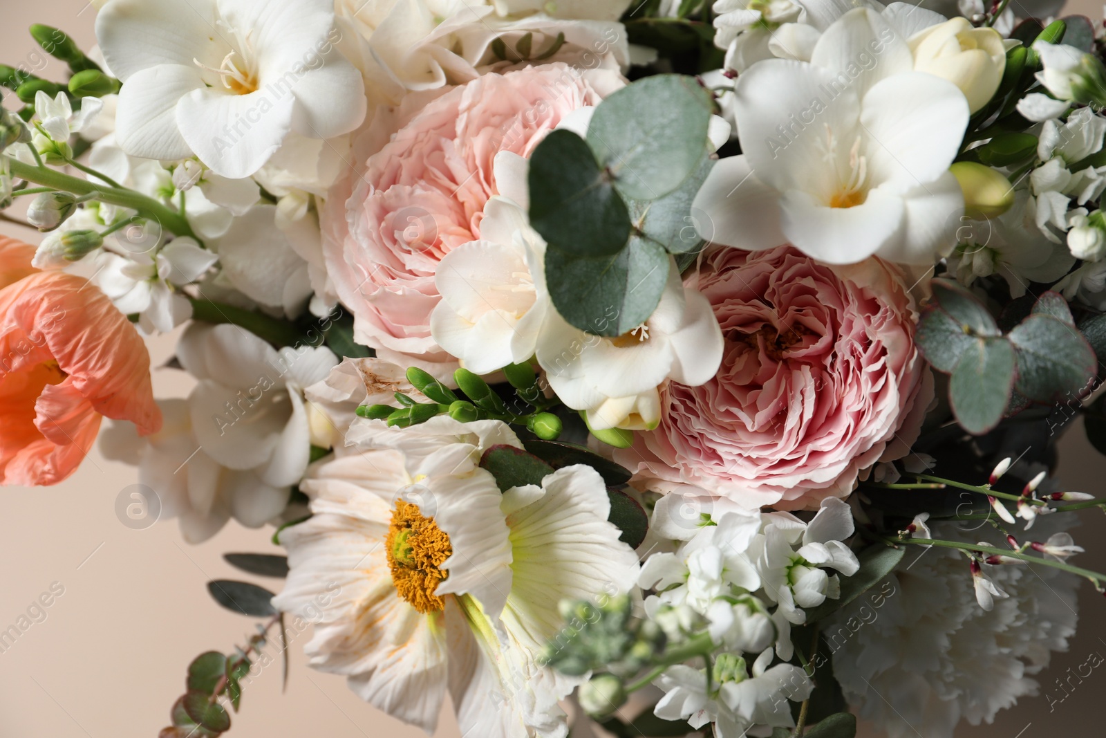 Photo of Bouquet of beautiful flowers on beige background, closeup